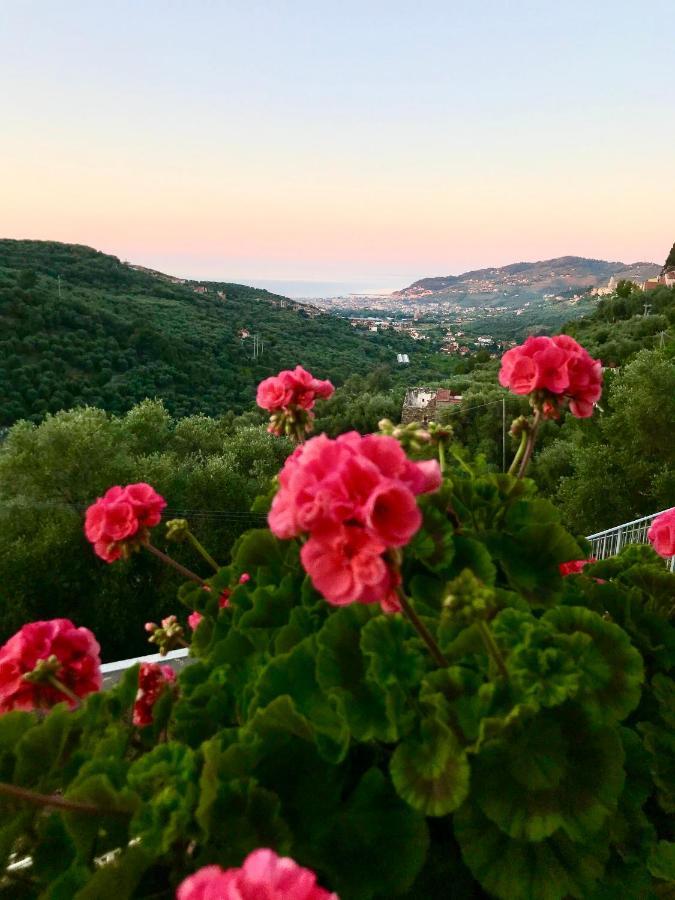Apartament Piccola Navetta Diano San Pietro Zewnętrze zdjęcie